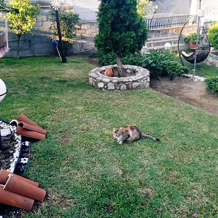 Kikas 1 Апартаменты *